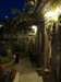 turkey2013185_small.jpg