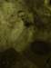 turkey2013196_small.jpg