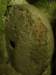 turkey2013197_small.jpg