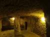 turkey2013202_small.jpg