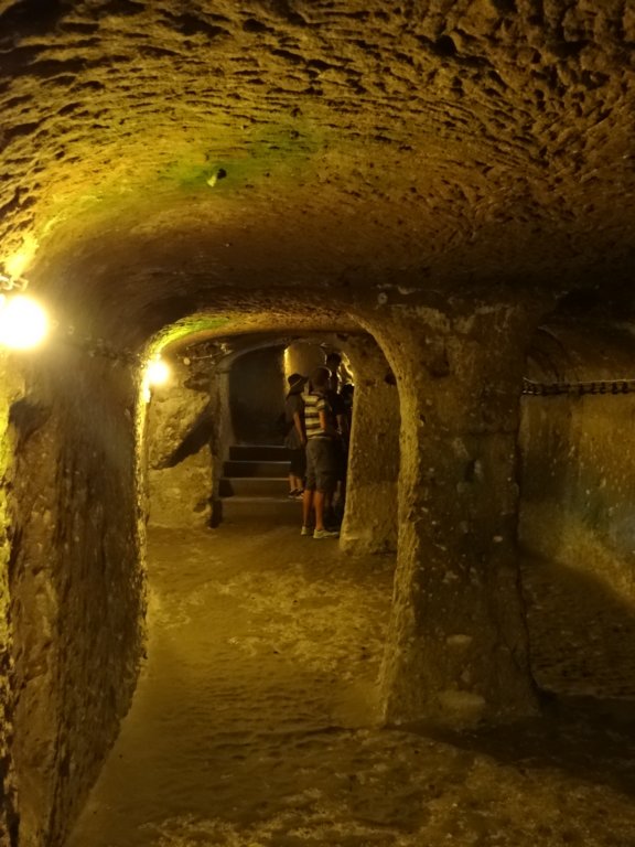 turkey2013203.jpg