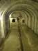 turkey2013207_small.jpg