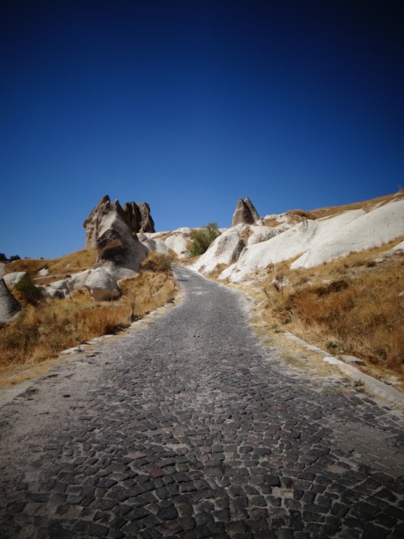 turkey201321.jpg