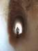 turkey2013211_small.jpg