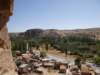 turkey2013213_small.jpg