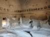 turkey2013216_small.jpg