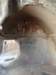 turkey2013219_small.jpg