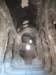 turkey2013220_small.jpg