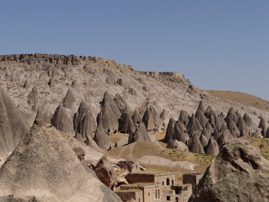 turkey2013225.jpg