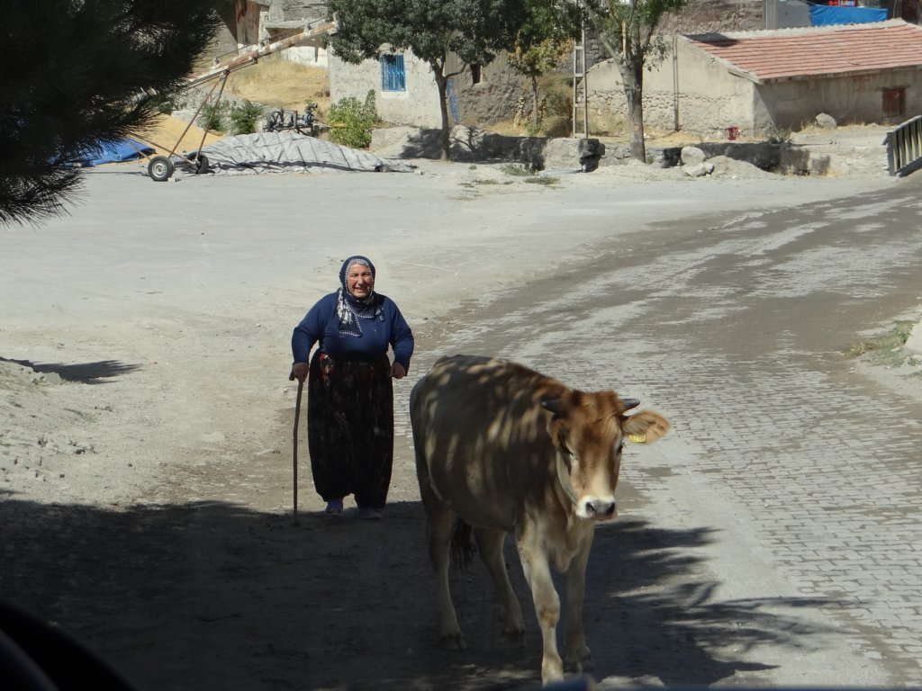 turkey2013227.jpg