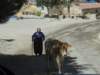 turkey2013227_small.jpg