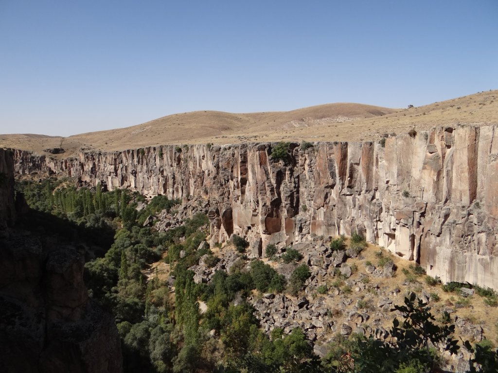 turkey2013229.jpg