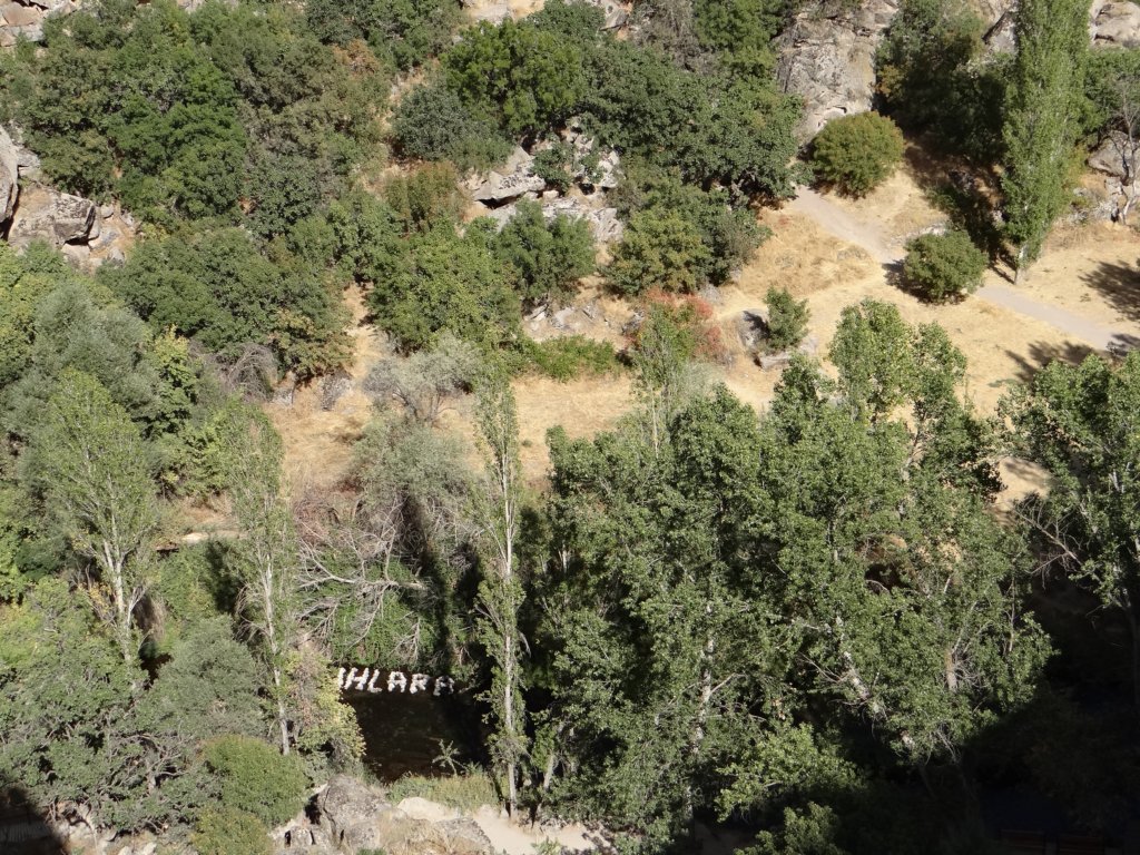 turkey2013231.jpg