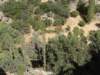 turkey2013231_small.jpg