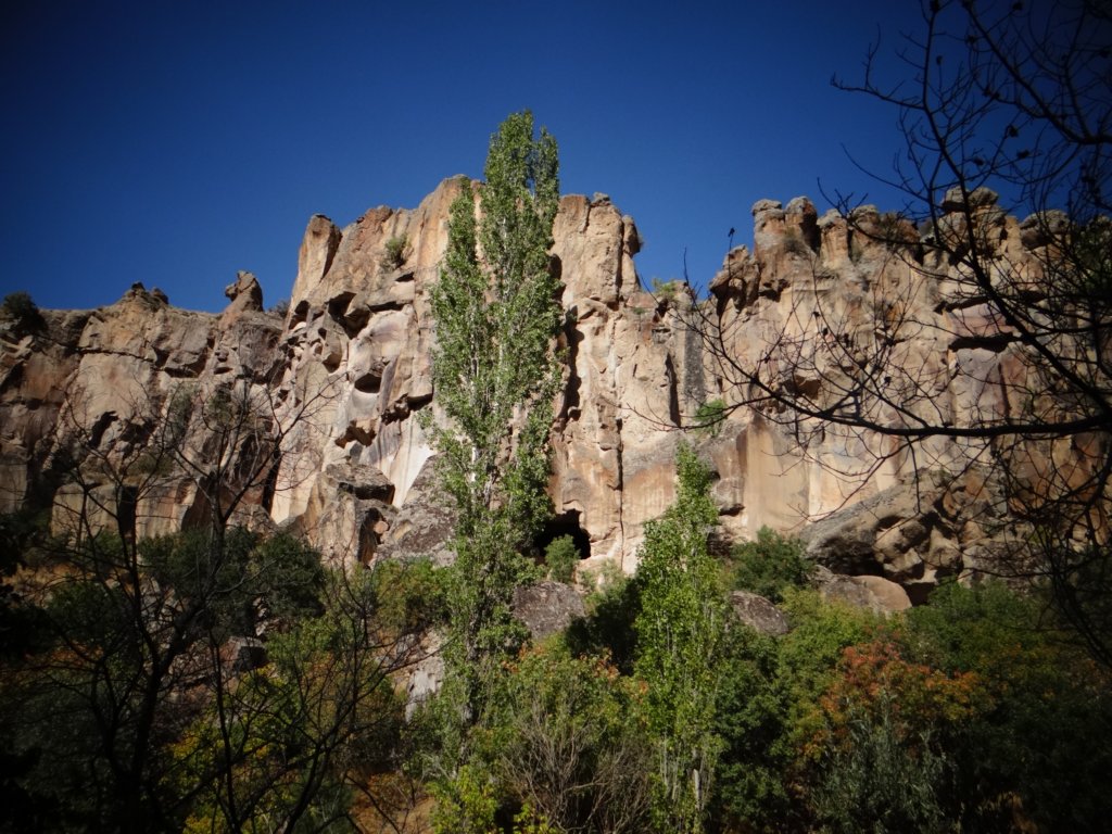 turkey2013237.jpg