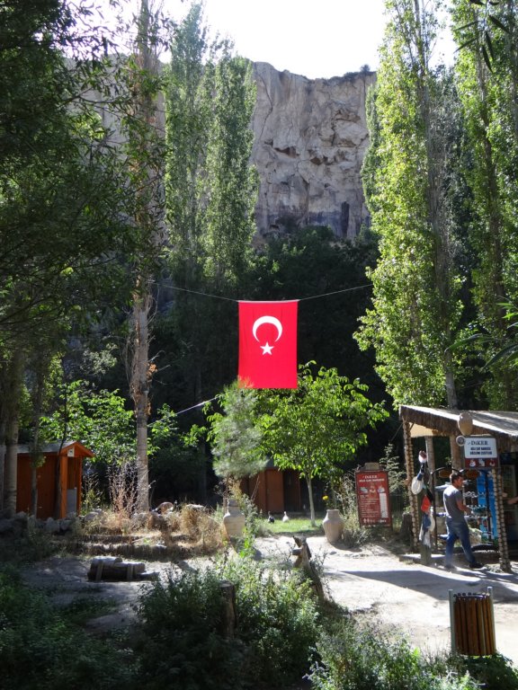 turkey2013239.jpg