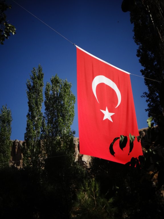 turkey2013244.jpg