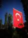 turkey2013244_small.jpg