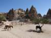turkey201324_small.jpg