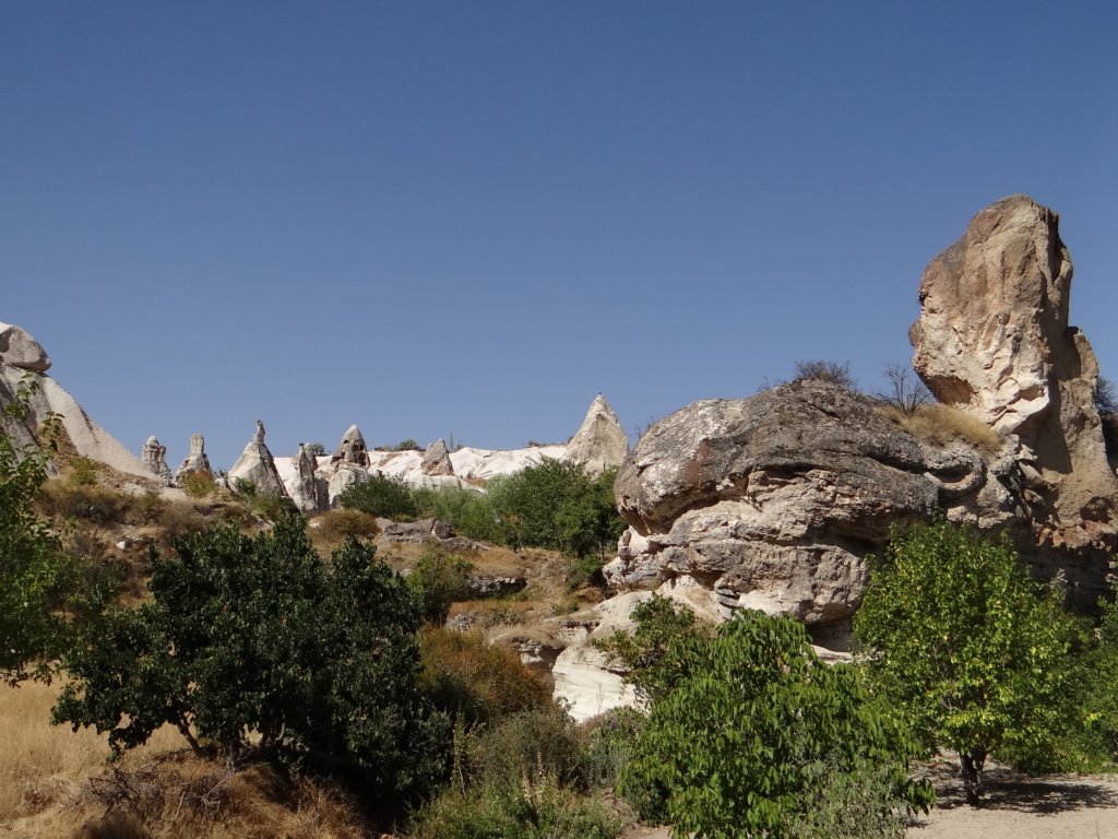 turkey2013254.jpg
