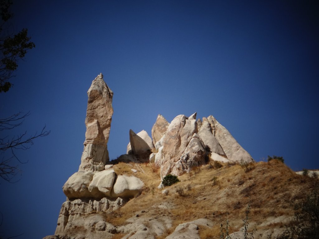 turkey2013256.jpg