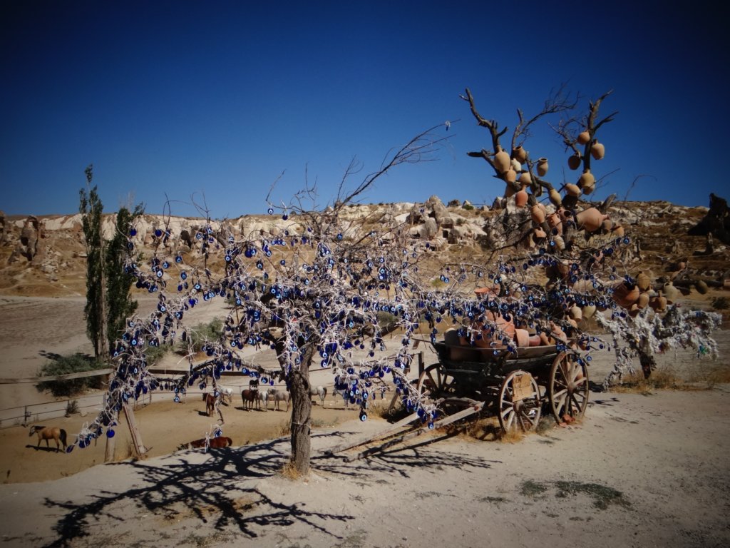 turkey201326.jpg