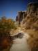 turkey2013263_small.jpg