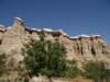 turkey2013264_small.jpg