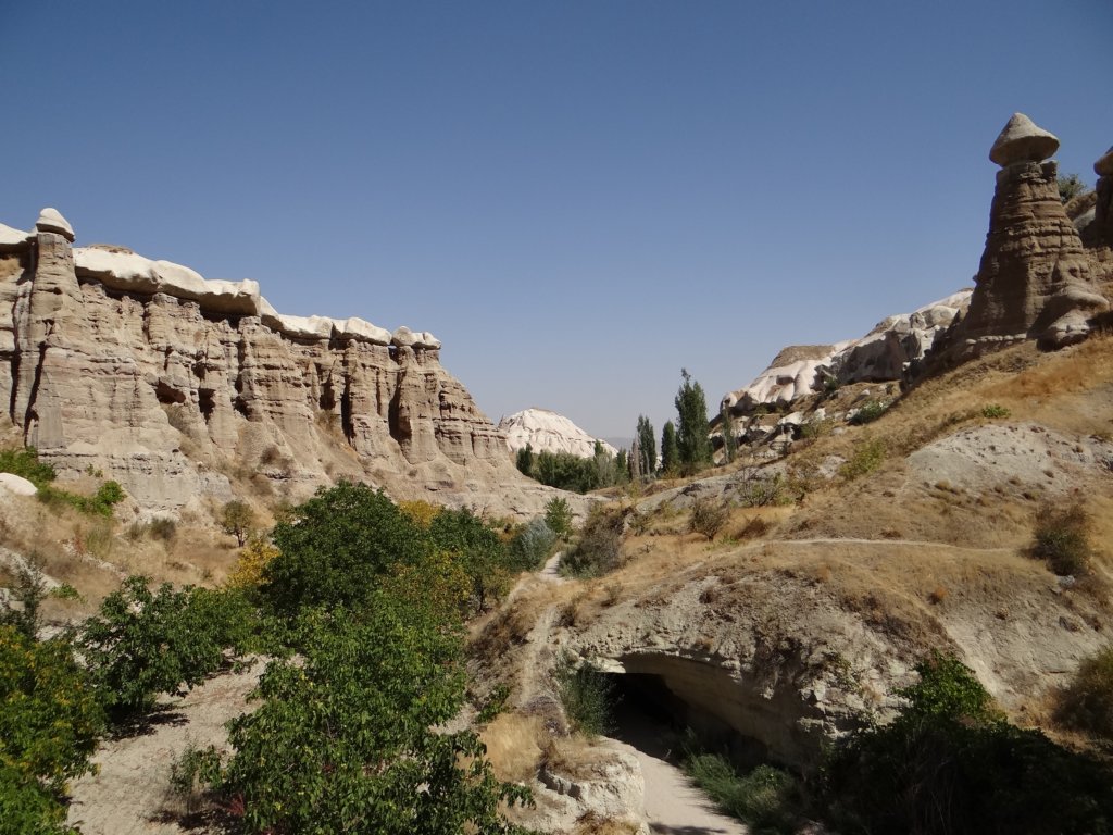 turkey2013266.jpg