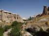 turkey2013266_small.jpg