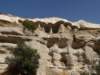 turkey2013267_small.jpg