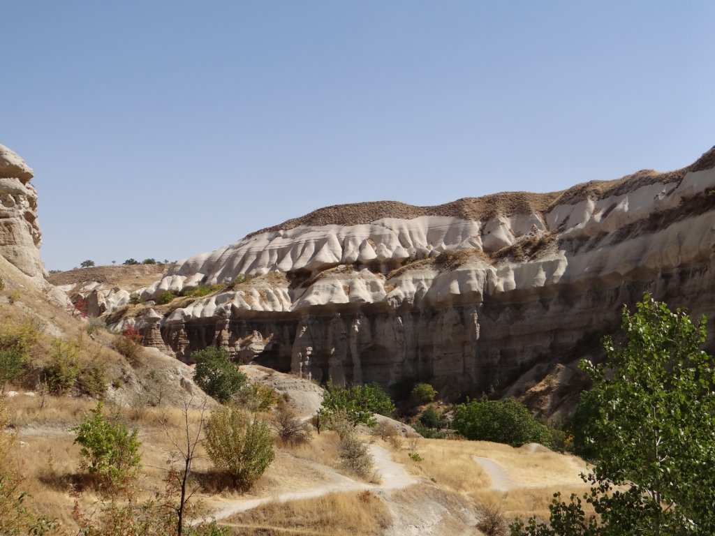turkey2013268.jpg
