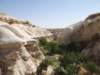 turkey2013270_small.jpg