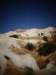 turkey2013271_small.jpg