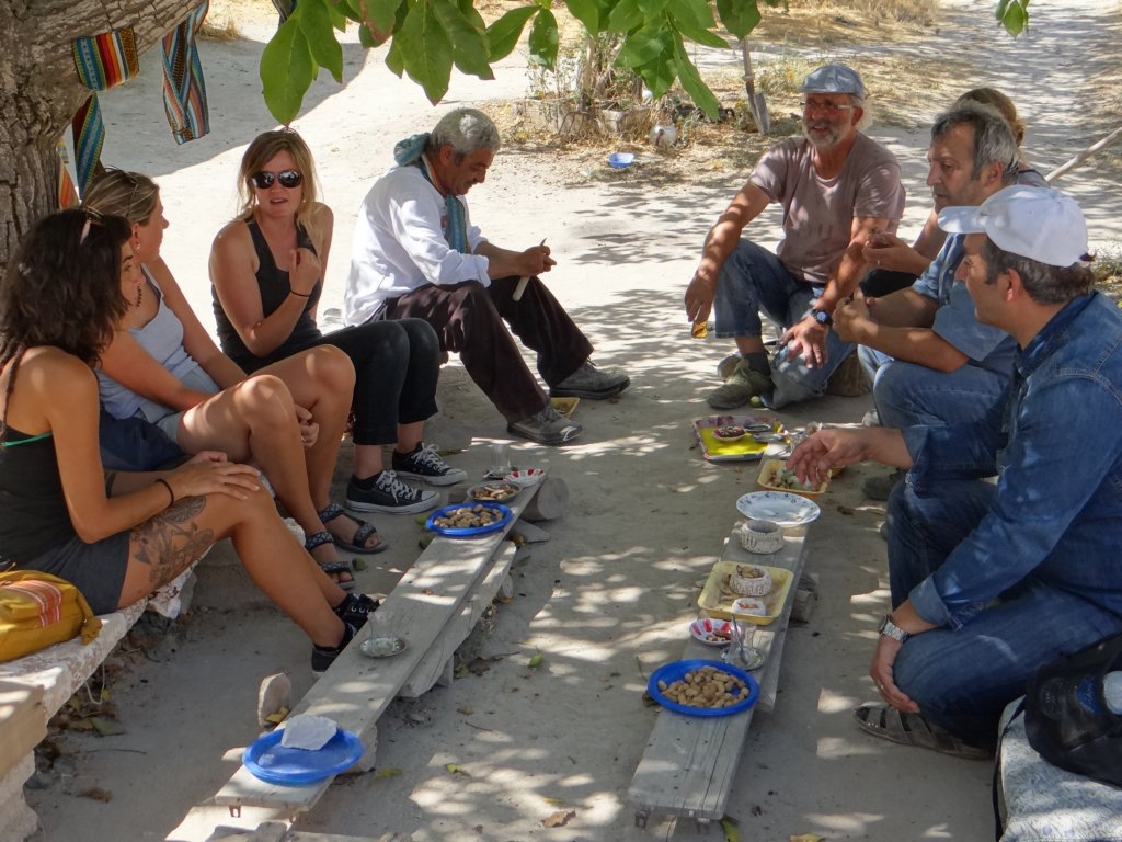 turkey2013278.jpg