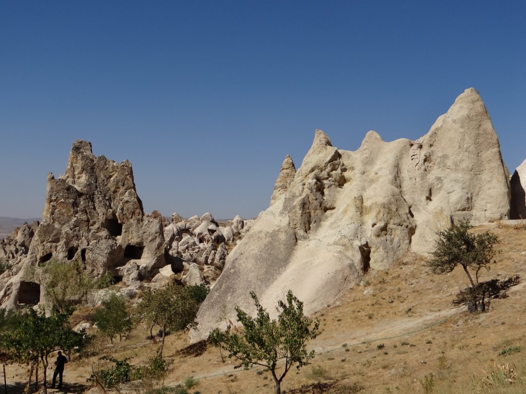 turkey201336.jpg