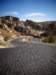 turkey201352_small.jpg