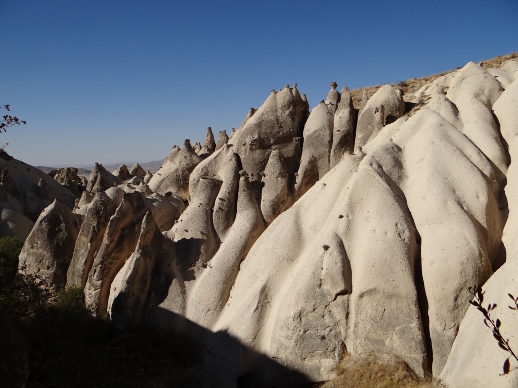 turkey201357.jpg