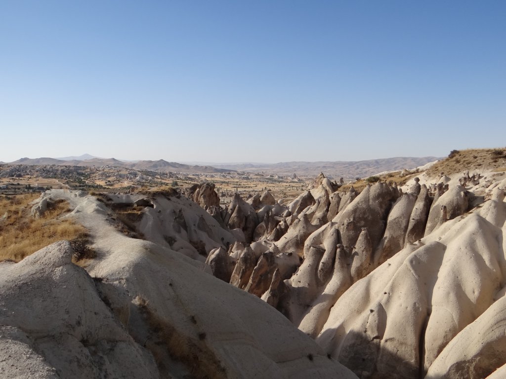 turkey201374.jpg