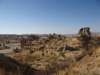 turkey201381_small.jpg
