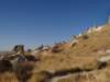 turkey201384_small.jpg