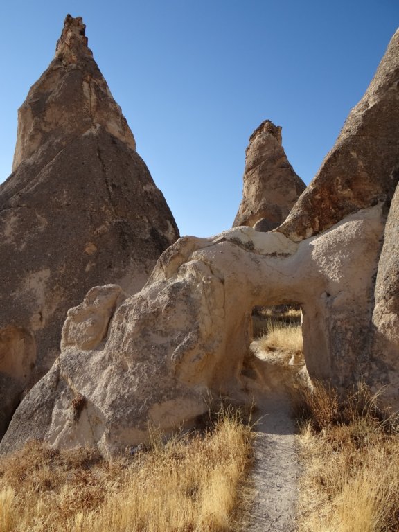 turkey201385.jpg