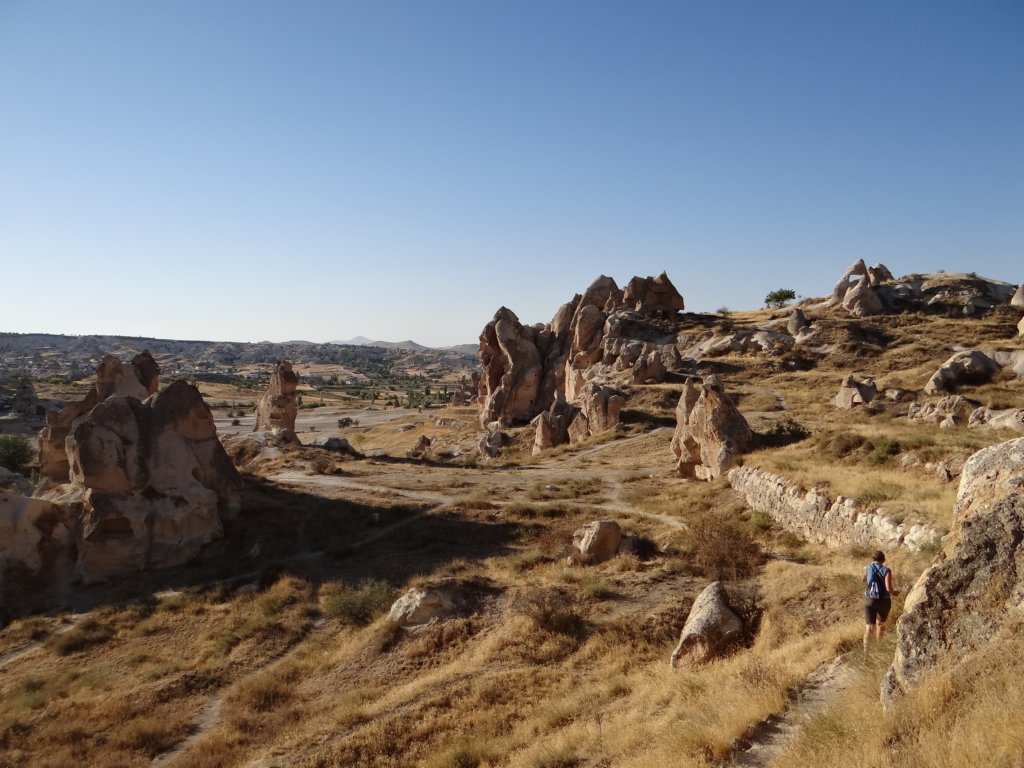 turkey201390.jpg