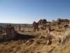turkey201390_small.jpg