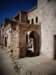 turkey20139_small.jpg