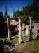 turkey2013100_small.jpg