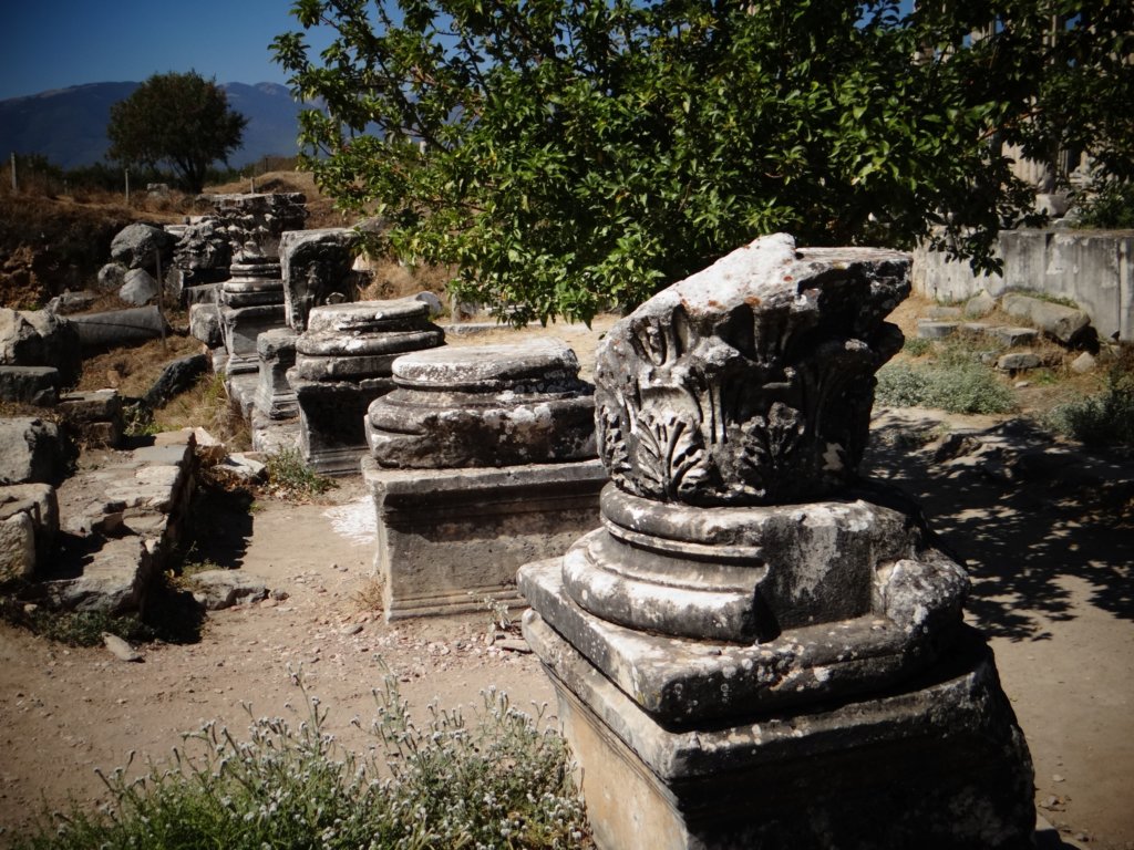 turkey2013105.jpg