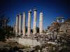 turkey2013106_small.jpg