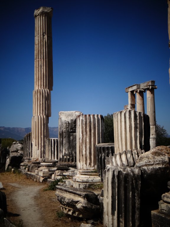 turkey2013107.jpg