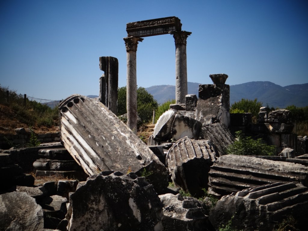 turkey2013109.jpg